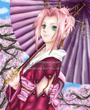 th_springtime_serenity__sakura_by_shid.jpg